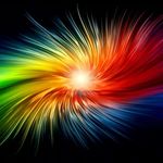 Profile Picture of Matthew birmingham (@hamjam_chinchilla) on Instagram