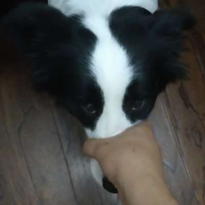 Profile Picture of Jin Tsai (@JinTsai5) on Twitter