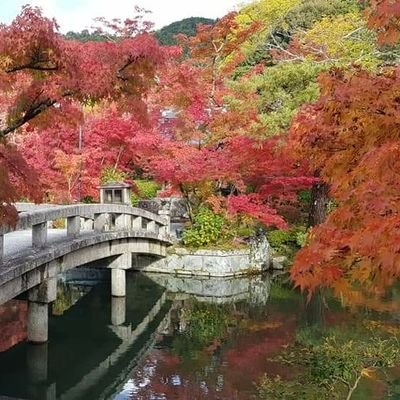 Profile Picture of Tsai Hsiang Sheng (@TsaiHsiangShen1) on Twitter