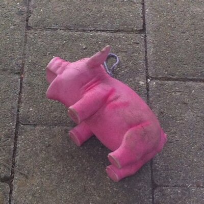 Profile Picture of Mike Moes (@mikemoes) on Twitter