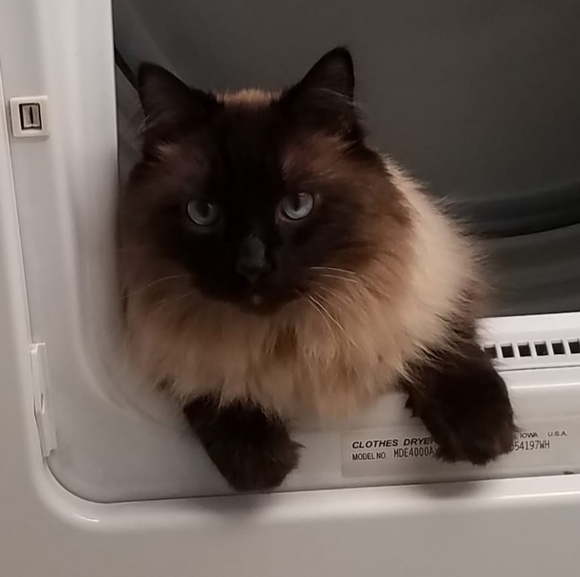 Profile Picture of Kim Crandell (@crandek) on Poshmark