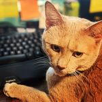 Profile Picture of Robert Rader (@robertrader) on Instagram
