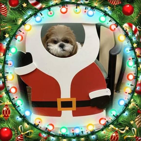 Profile Picture of Janet Hakes (@janethakes) on Poshmark