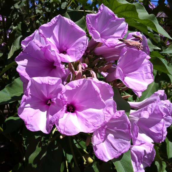 Profile Picture of Rita Tong (@ritatong) on Poshmark