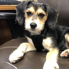 Profile Picture of Todd Hazelton402 (@toddhazelton0001) on Tiktok