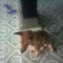 Profile Picture of Rong Tu (@rong.tu.121) on Facebook