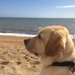 Profile Picture of Paul Turner (@paul_turner_1175) on Instagram