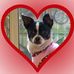 Profile Picture of Evelyn Dale (@evelyn.dale.9) on Facebook