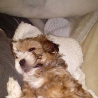 Profile Picture of Wayne Last (@wayne.last.16) on Facebook