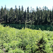 Profile Picture of Mark Mccutchan (@markmccutchan8247) on Youtube