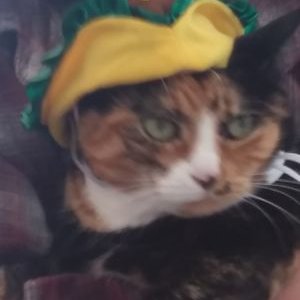 Profile Picture of R Stoeckle (@StoeckleBob) on Twitter