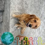 Marcus Böttcher - Facebook Profile Picture of Marcus Böttcher (@Marcus-Böttcher) on Facebook