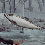 Profile Picture of βαʟομκ (@βαʟομκ) on Flickr