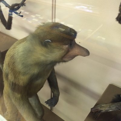 Profile Picture of Michael Mellon (@MichaelWMellon) on Twitter