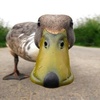 Profile Picture of Steve duck 🦆 (@duckduckdont) on Tiktok