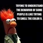 Profile Picture of Peter Seligman (@seligmanpeter) on Instagram