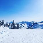 Profile Picture of Brady Newport (@brady.newport17) on Instagram