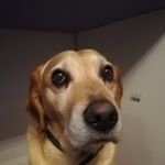 Profile Picture of Léo Roche (@leo.roche.351) on Instagram