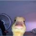 Profile Picture of Joel Ibarra (@ibarra6707) on Pinterest