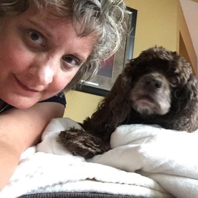 Profile Photo of Denise Farkas (@spanielpal) on Twitter