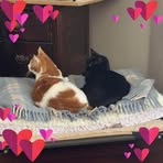 Profile Picture of Judy Kaminski Uva (@judy.k.uva) on Facebook