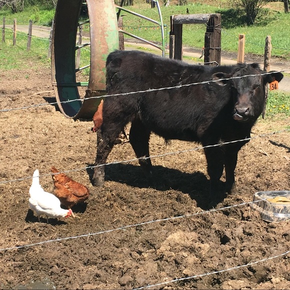 Profile Picture of J Shaw (@farmerdad) on Poshmark