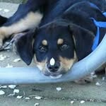 Profile Picture of Jacob Swigart (@swigartjacob) on Instagram