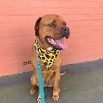 Profile Picture of Hugo Jeffrey Baker (@the.hugo.editor) on Instagram