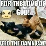 Profile Picture of Jacob Pineda (@diablo_12345_) on Instagram