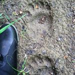 Joshua Hubbard - Instagram Profile Picture of Joshua Hubbard (@getoutside7777) on Instagram