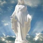 Profile Picture of Robert Tannoury (@tannouryrobert) on Instagram