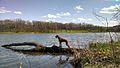 Profile Picture of Johnson-Sauk Trail State Recreation Areaon Wikipedia