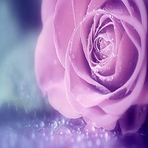 Profile Picture of Kayla Medrano (@itskaylitabruh) on Myspace