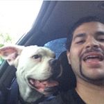 Profile Picture of Luis Monteagudo (@birdmanberdo) on Instagram