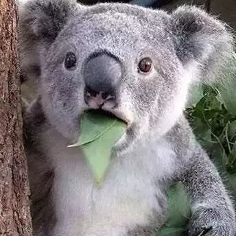 Profile Picture of Stephen Yuan (@StephenYuan19) on Twitter