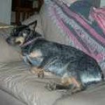 Profile Picture of Kimberly Gibbons (@kageykim) on Instagram