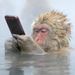 Profile Picture of Alejandro Manzo (@amzc61) on Pinterest