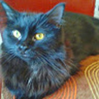 Profile Picture of Raymond Stringer (@raymond-stringer-7) on Quora