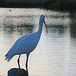 Profile Picture of CONWAYK57 (@CONWAYK57) on Flickr