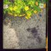 Profile Picture of Colin Blyth (@colinblyth4) on Pinterest