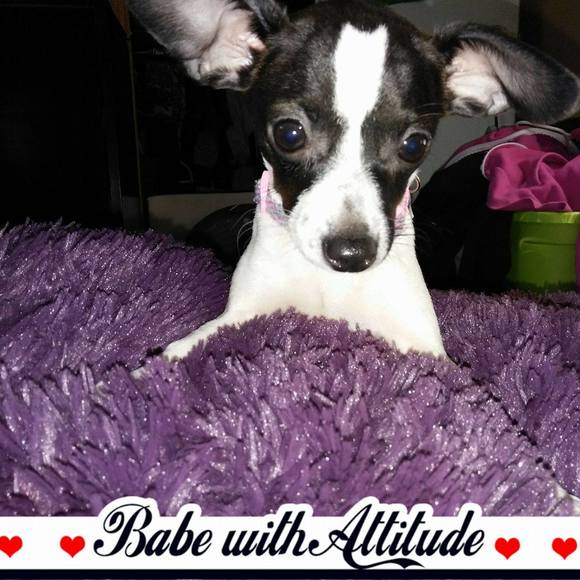 Profile Picture of Adele Kazel (@adeleann1218) on Poshmark