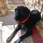 Profile Picture of Amy Tolzman (@amytolzman) on Instagram