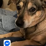 Profile Picture of Garvey Nancy (@nancy.garvey.505) on Facebook