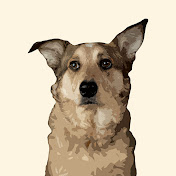 Profile Picture of Brad Lackey (@bradlackey8052) on Youtube