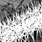 Profile Picture of Hoffman Hoffman (@Hoffman-Hoffman) on Facebook