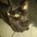 Profile Picture of Thomas Johann (@thomas.johann.391) on Facebook