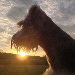 Hugo Gamarra - Flickr Profile Picture of Hugo Gamarra (@hugoluy) on Flickr