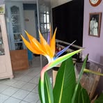 Profile Picture of Douglas Lambert (@douglas.lambert.58) on Facebook