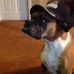 Profile Picture of Jimmie Stout (@jimmie.stout.1690671) on Facebook