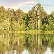 Profile Picture of Alice Campbell (@alicecampbell7587) on Youtube